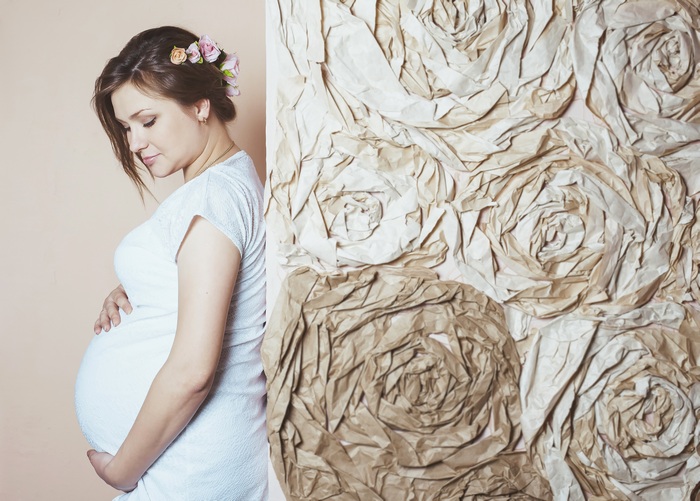 Surrogate motherhood programs