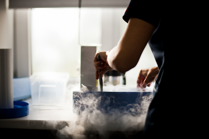 IVF with vitrified oocytes